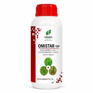 OMISTAR TOP