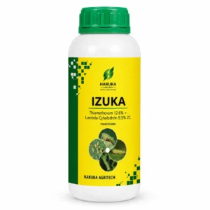 IZUKA