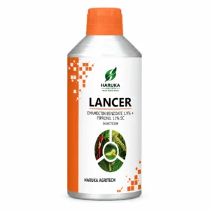 LANCER