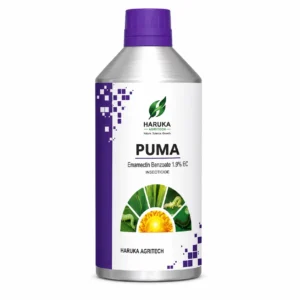 PUMA