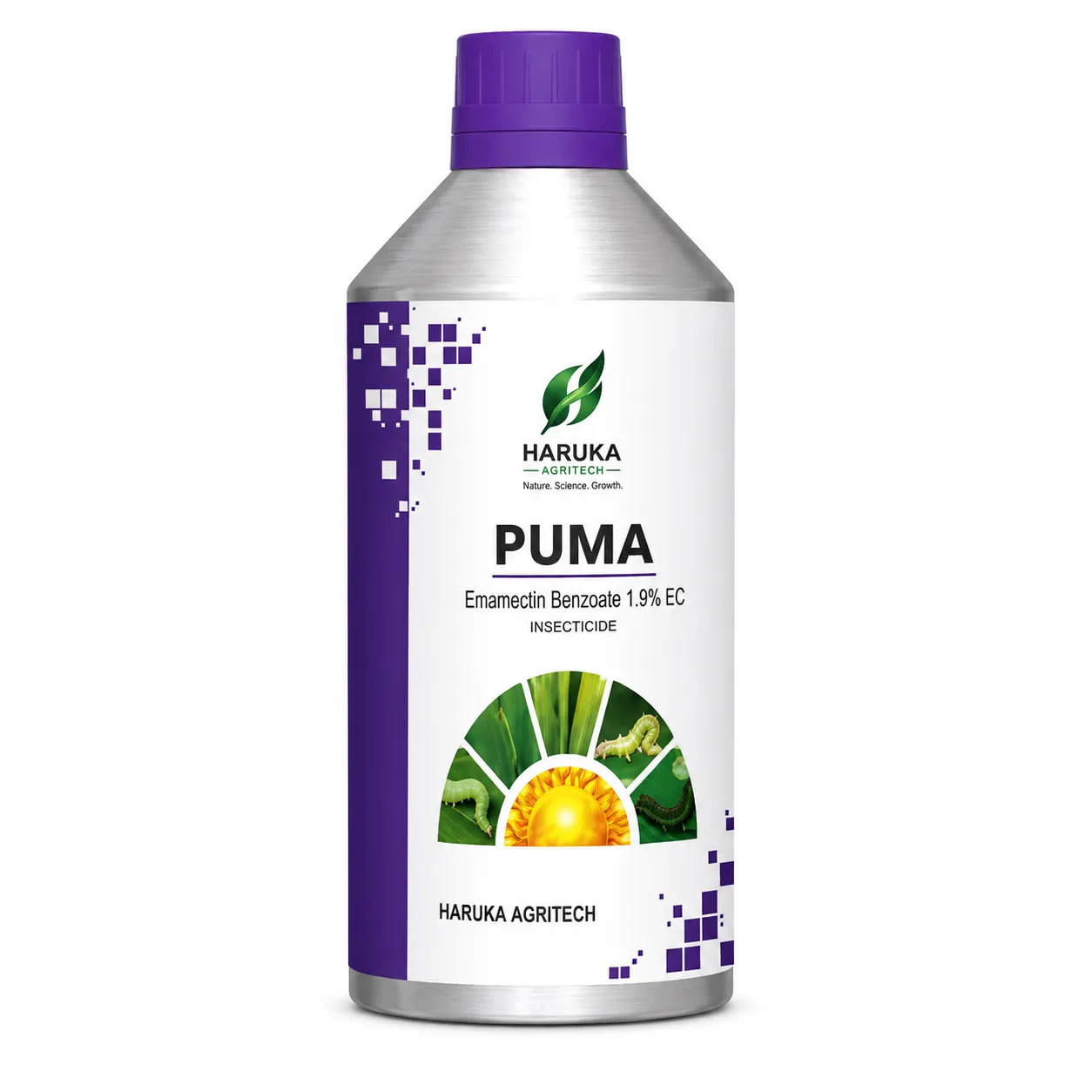 PUMA