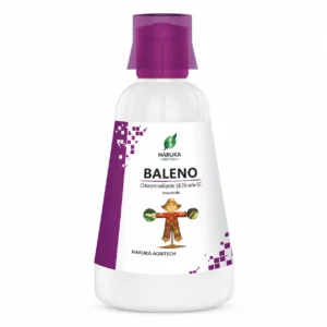 BALENO